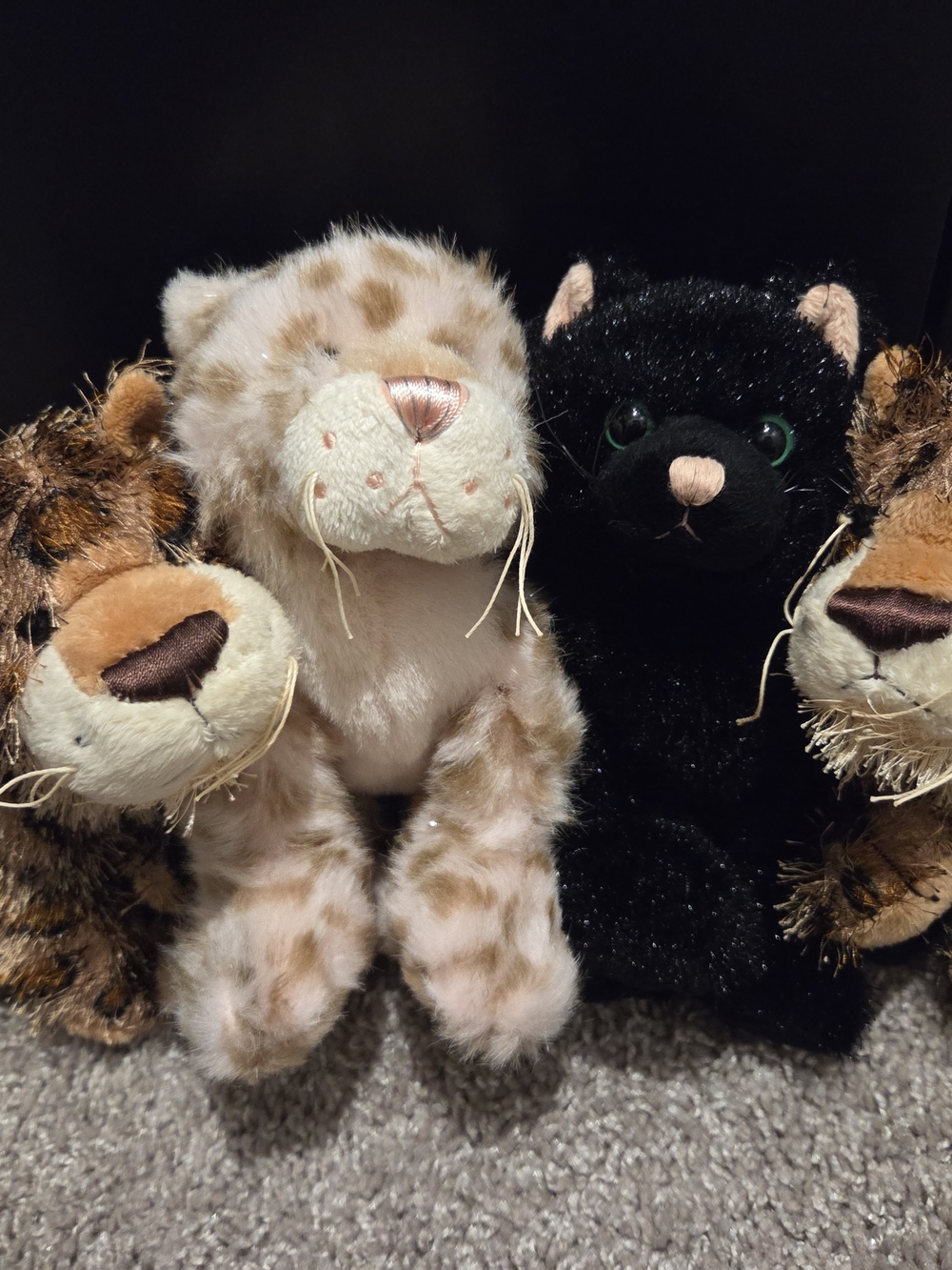 Webkinz Kitties (NO CODES/TAG)